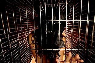 Dog Cage Bitch