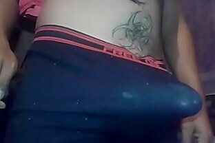 Chacal caliente con la verga tiesa 1
