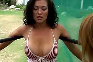 Sexy Catfight Babes